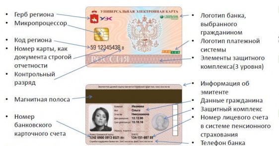 © Новости.Новгород.ру. 
