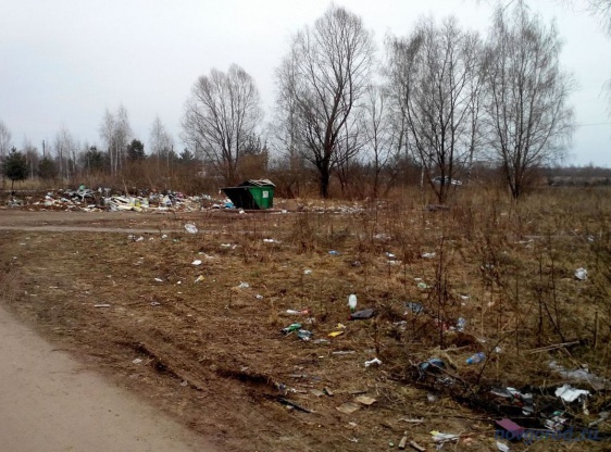 © Новости.Новгород.ру. 
