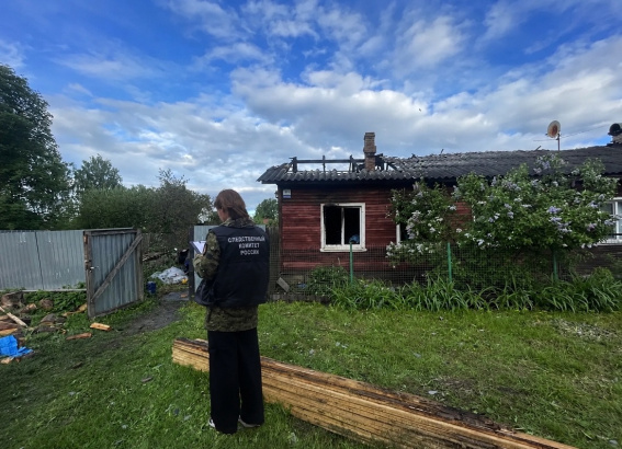 © СУ СК России по Новгородской области