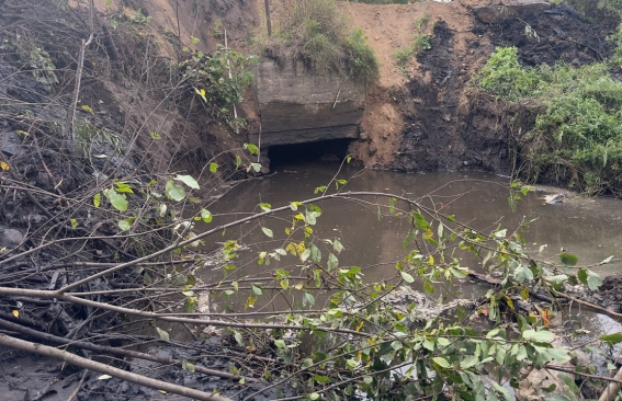 © Страница Елены Поваровой «Вконтакте»