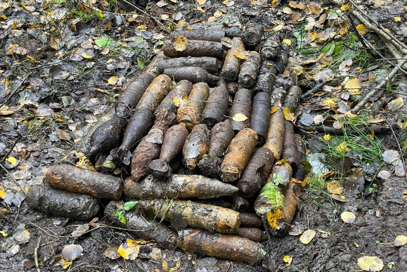 © Управление защиты населения Новгородской области