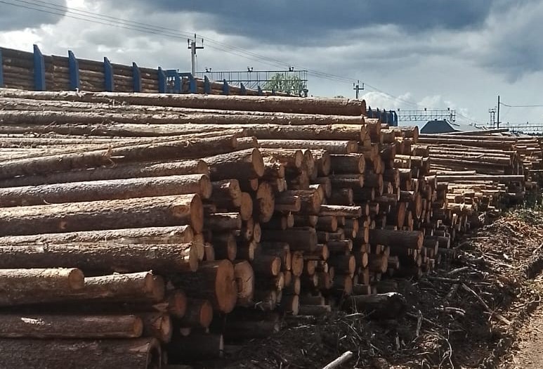 © Пресс-служба Северо-Западного межрегионального управления Россельхознадзора