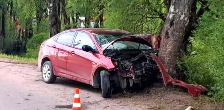 В Неболчах водитель не справился с управлением и врезался в дерево