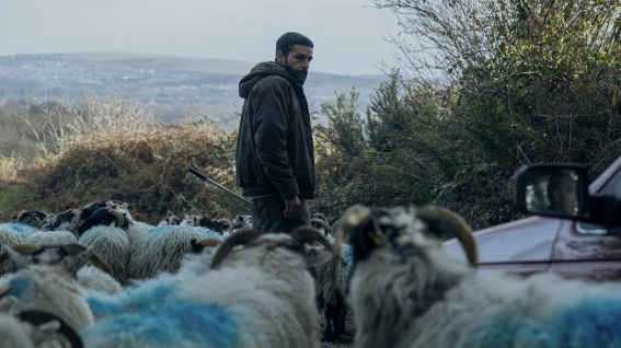 © Новости.Новгород.ру.