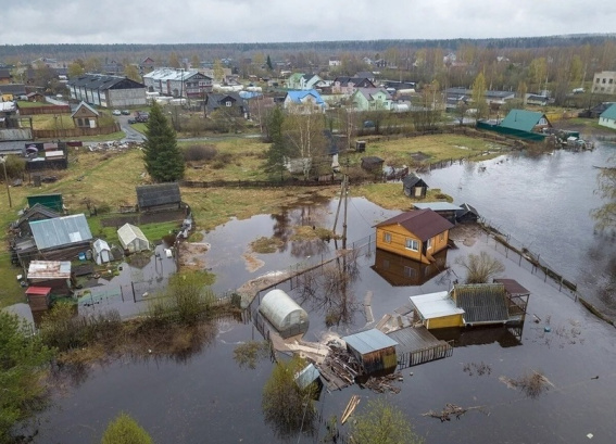 © Минприроды Новгородской области