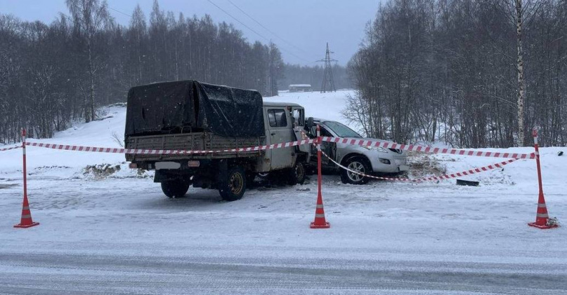 © УГИБДД России по Новгородской области