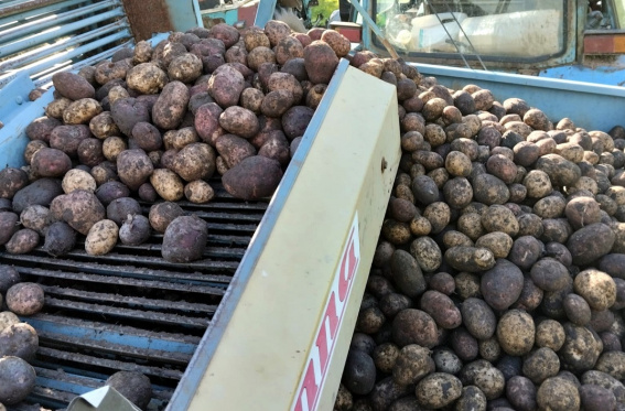 © Министерство сельского хозяйства Новгородской области