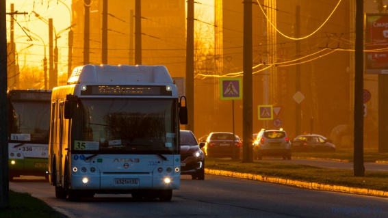 Полиция предложила новгородским перевозчикам установить в автобусах видеорегистраторы