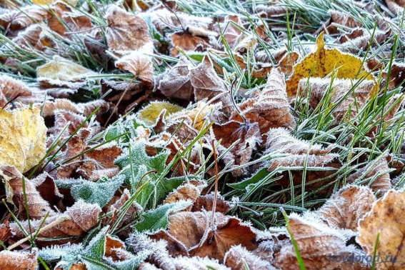 В выходные в Новгородской области прогнозируют мороз до -8 градусов