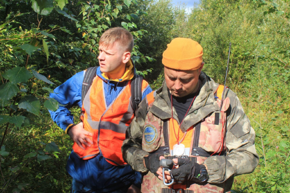 В лесах Новгородской области за сутки заблудились 7 человек