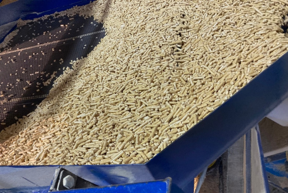 © Пресс-служба Северо-Западного межрегионального управления Россельхознадзора