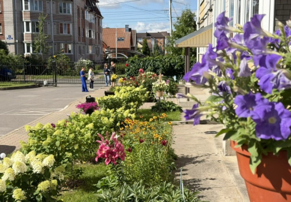 © Администрация Великого Новгорода