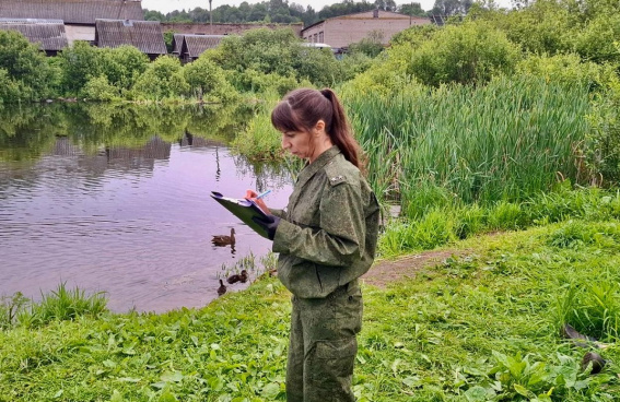 © СУ СКР по Новгородской области