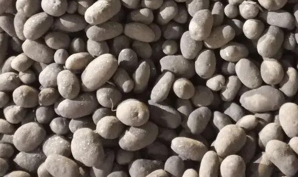 © Пресс-служба Северо-Западного межрегионального управления Россельхознадзора