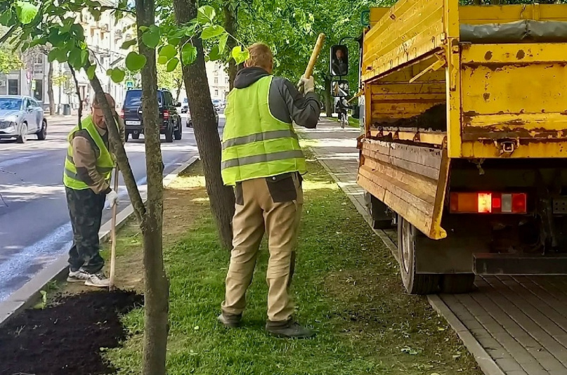 © Комитет городского и дорожного хозяйства