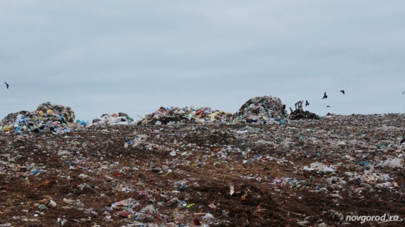 В Янино допустили возможность вывоза отходов в Новгородскую область. В правительстве опровергли эту информацию