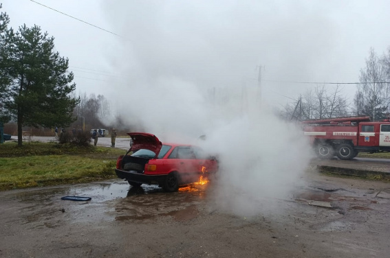 ©  Управление защиты населения Новгородской области