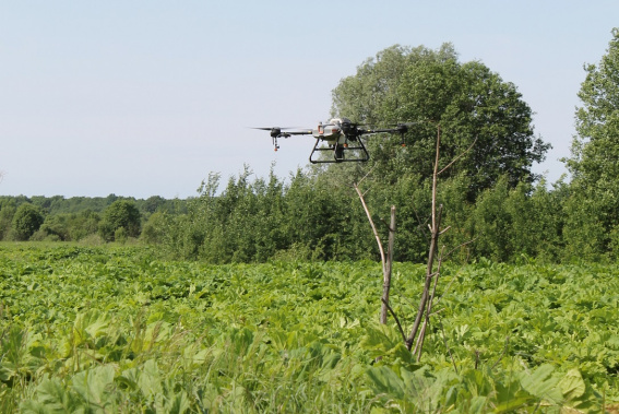 © Министерство сельского хозяйства Новгородской области