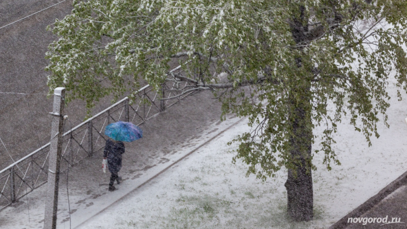 © Фото из архива интернет-портала «Новгород.ру»