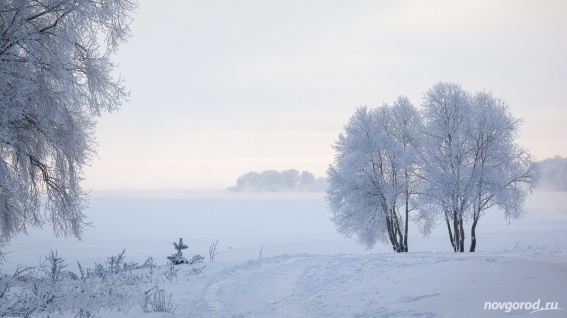 В среду новгородцев ожидает небольшой снегопад