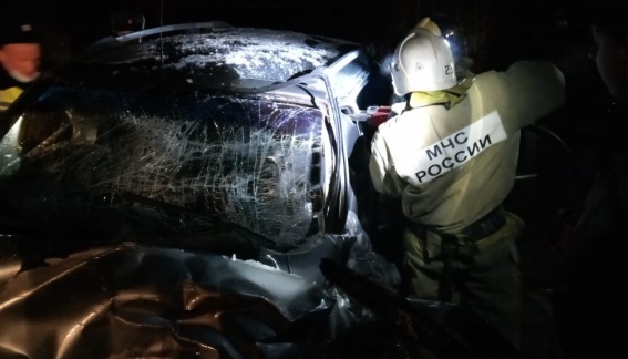 Водитель и пассажиры микроавтобуса пострадали по дороге в Боровичи