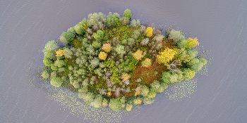 Панорама: Озеро Моисеевское