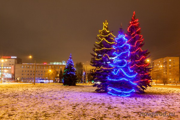 Ели великий новгород